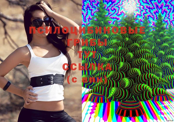 гидра Алзамай