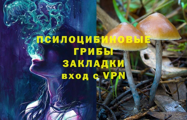 мескалин Алексеевка