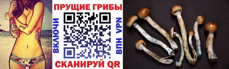 Галлюциногенные грибы ЛСД  Протвино 