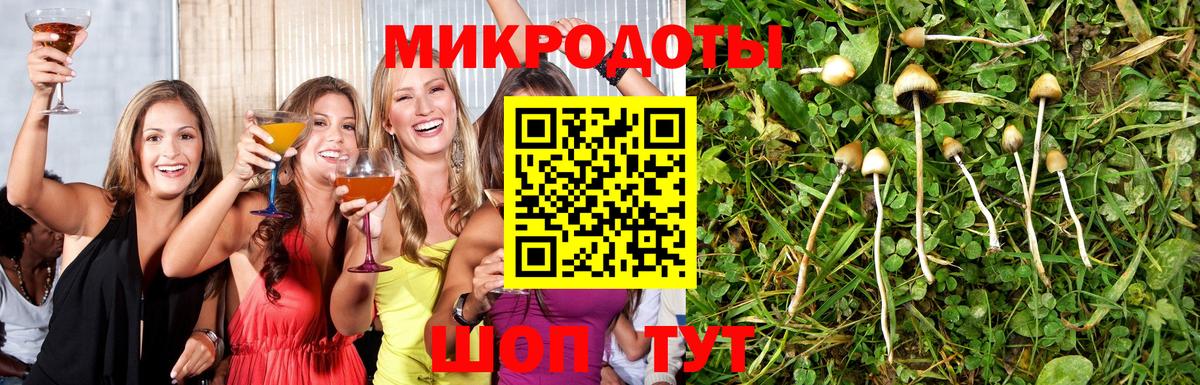 Псилоцибиновые грибы ЛСД  Вход с VPN  купить наркотики сайты  Протвино 